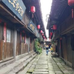 眼镜蛇秘密行动